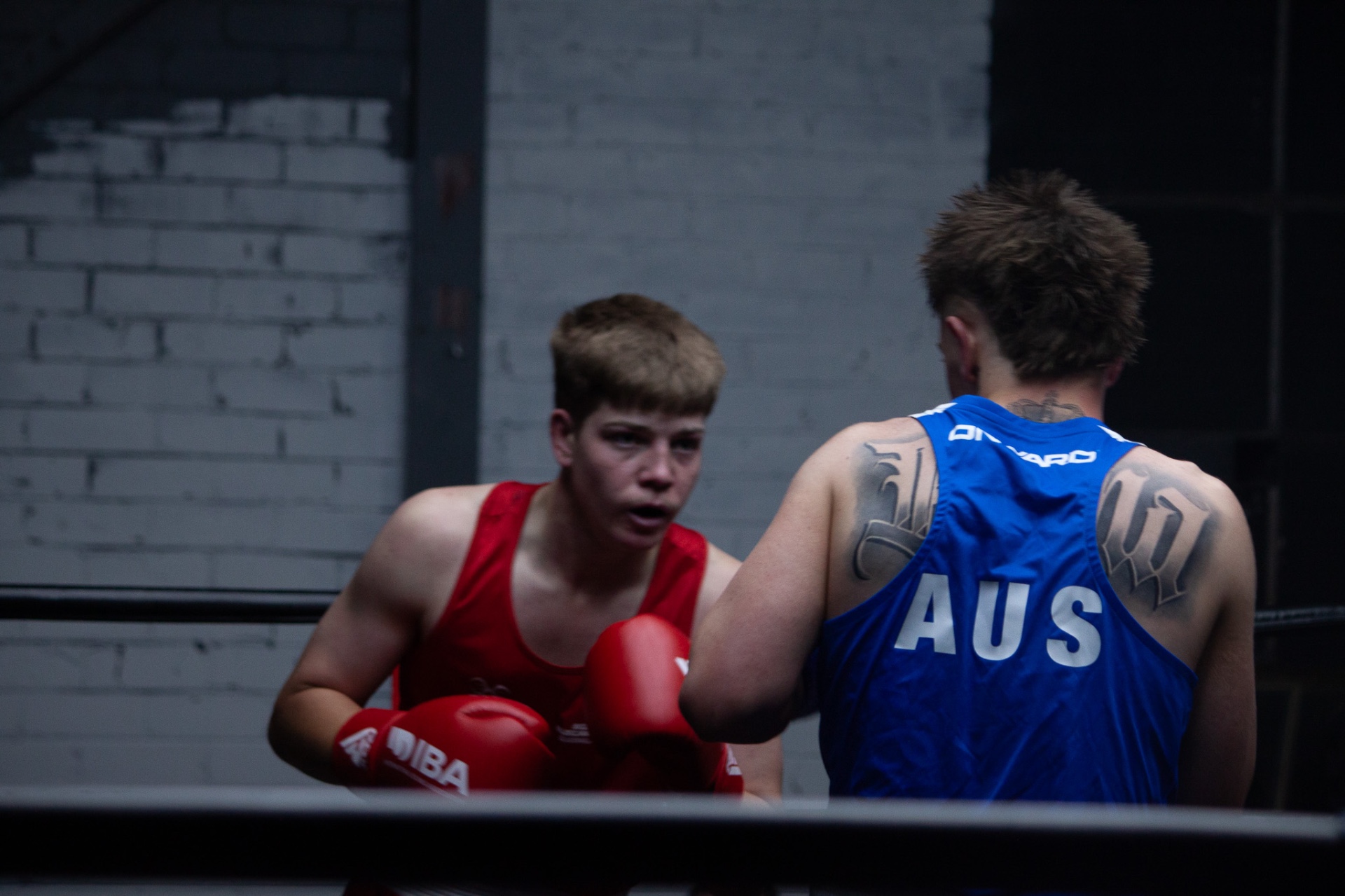 Officials Training & Certification — BoxSafe Australia